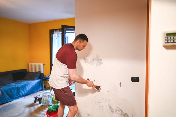 Trusted Galax, VA Mold Removal Experts